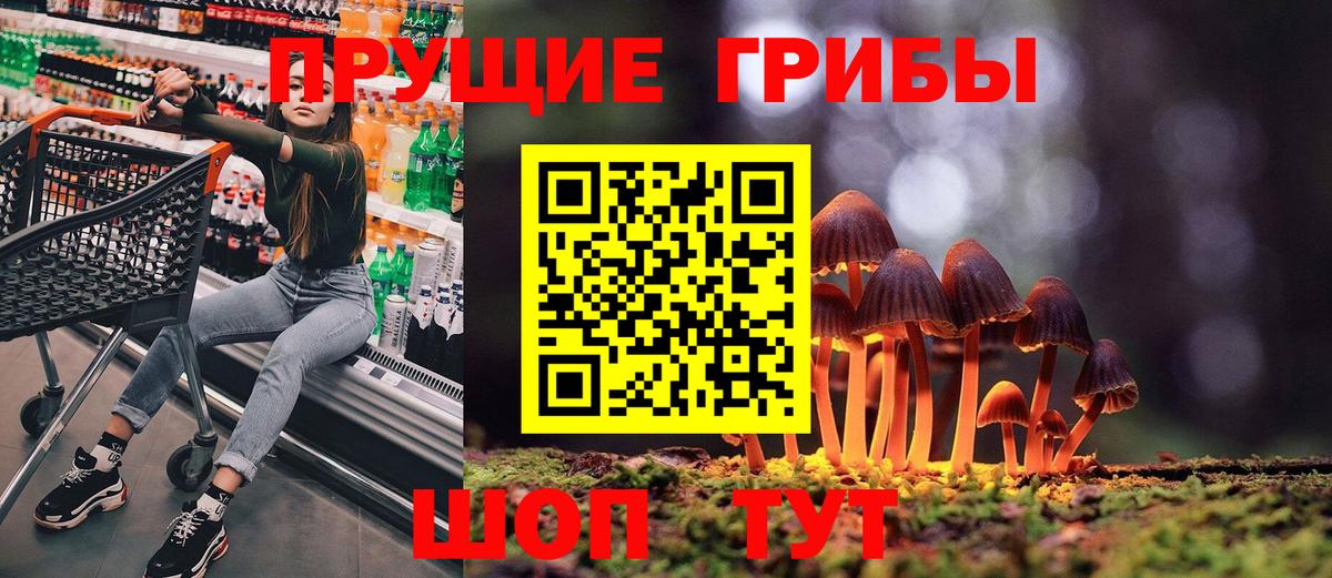 Галлюциногенные грибы Psilocybine cubensis Карталы